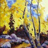 bouleaux ( 16 X 20 ) Propriété de Claude Gervais